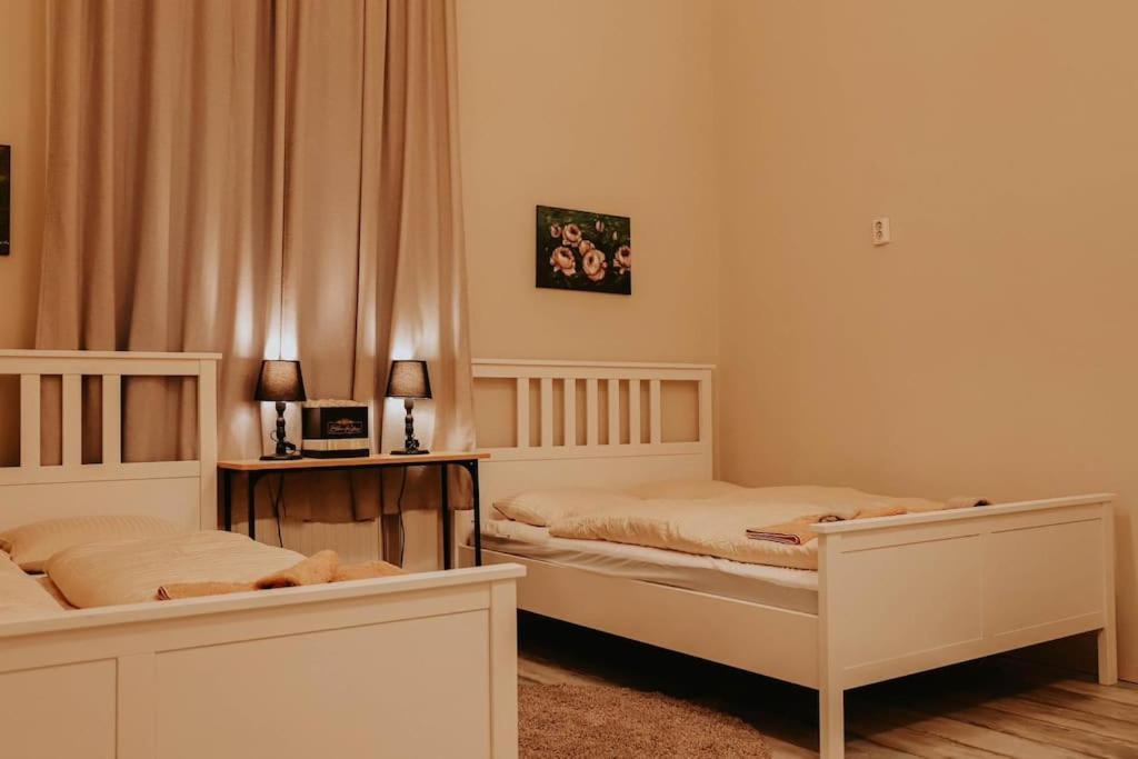 Lejlighed Spacious For Group In Centre Budapest