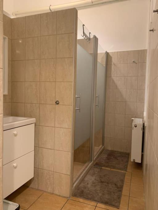 Apartment Spacious For Group In Centre Budapest