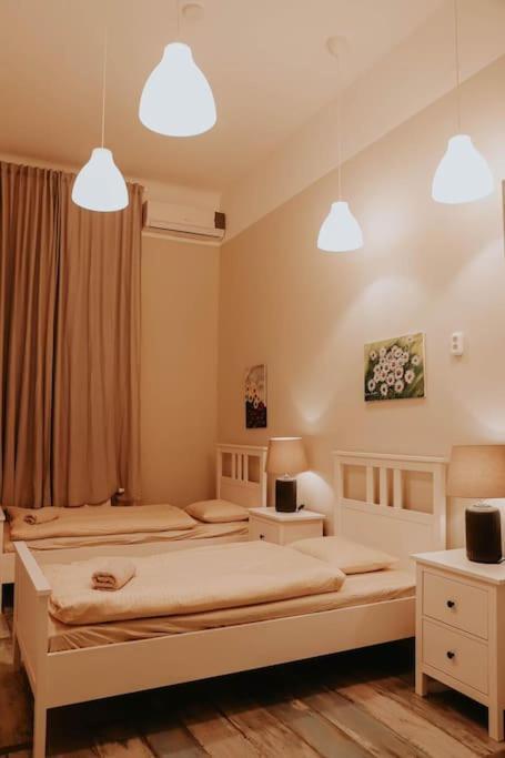 Apartment Spacious For Group In Centre Budapest