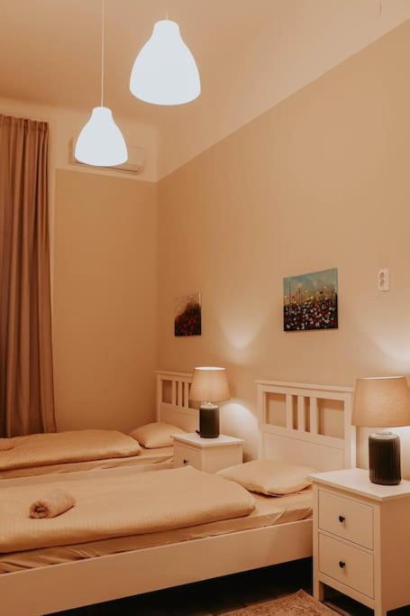 Lejlighed Spacious For Group In Centre Budapest