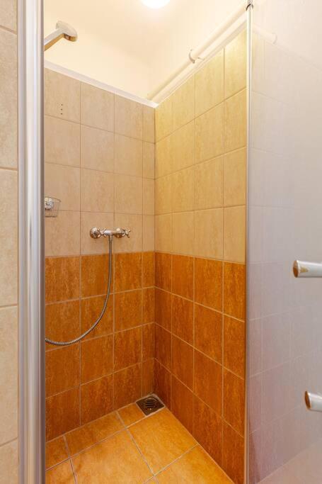 Spacious For Group In Centre Apartment
